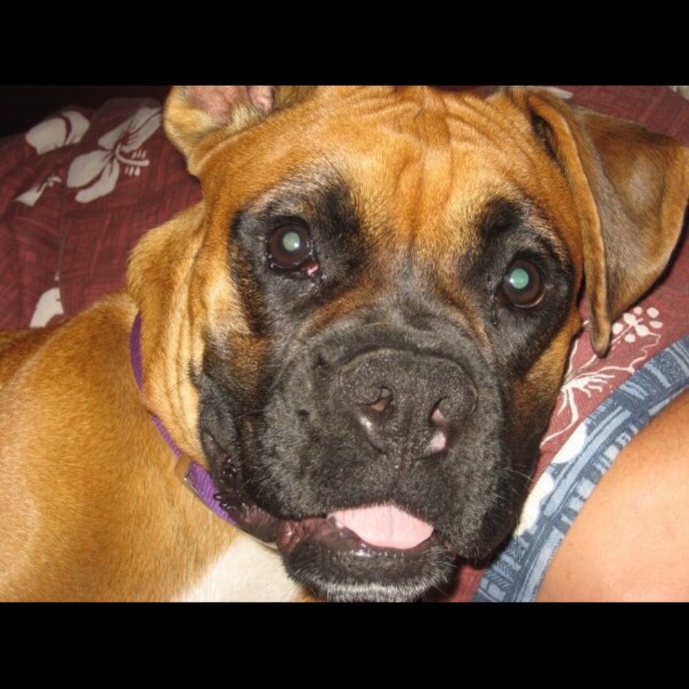 Meet your Posher, Rita